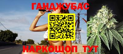 крисы Ирбит